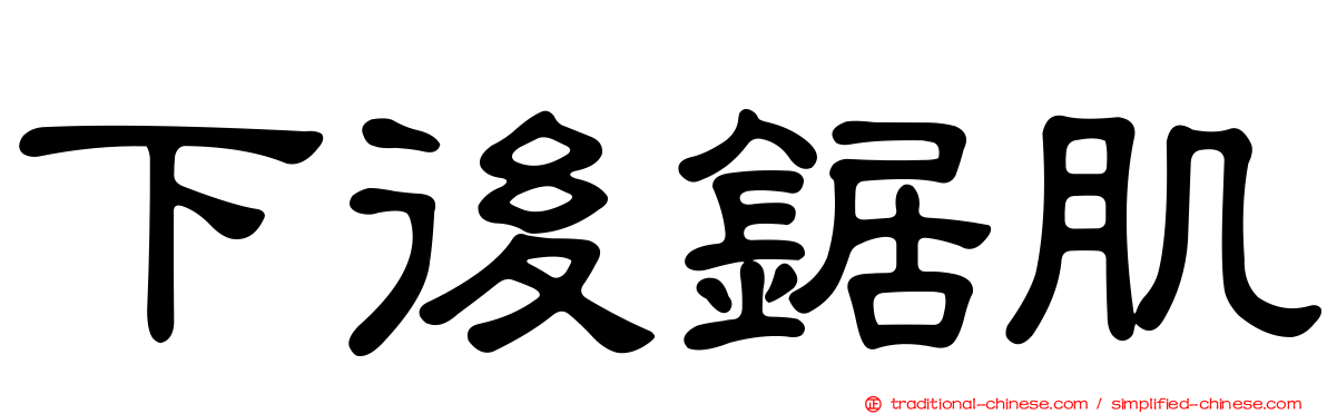 下後鋸肌