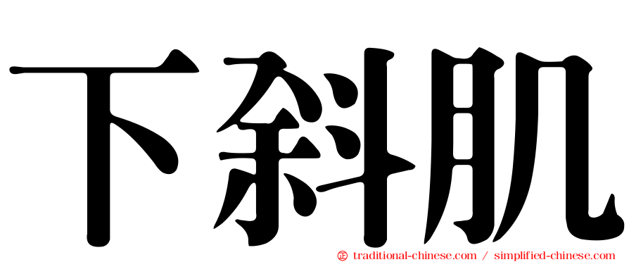 下斜肌