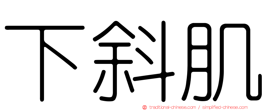 下斜肌