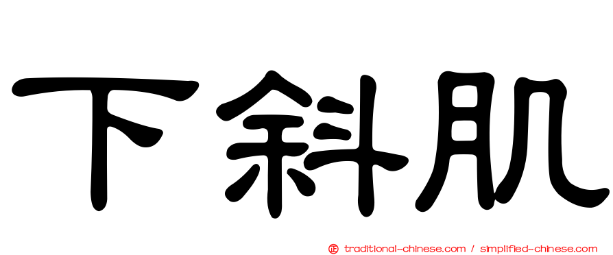 下斜肌