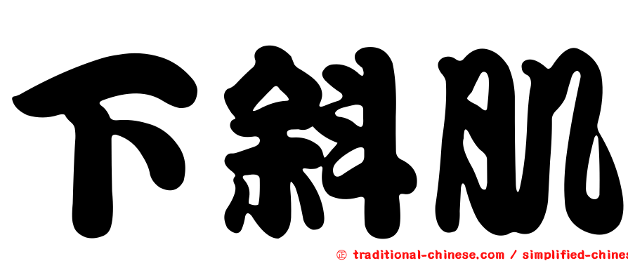 下斜肌
