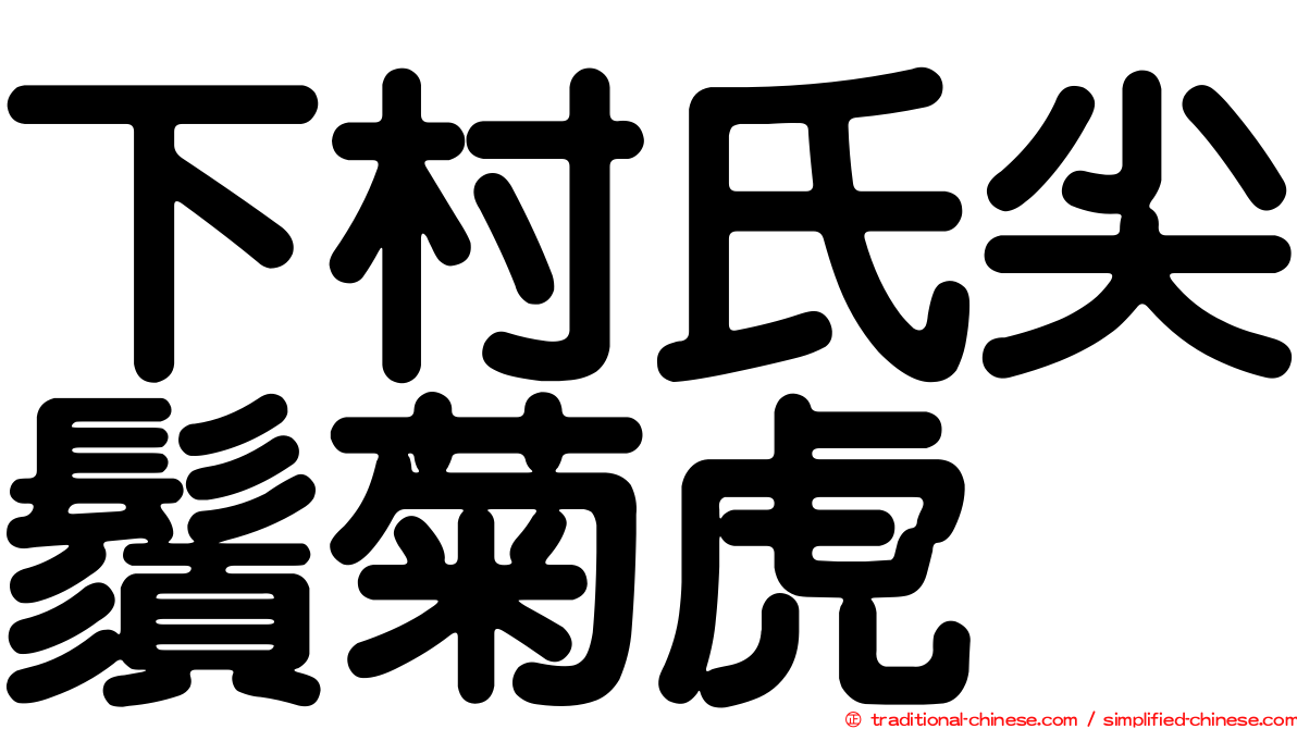 下村氏尖鬚菊虎