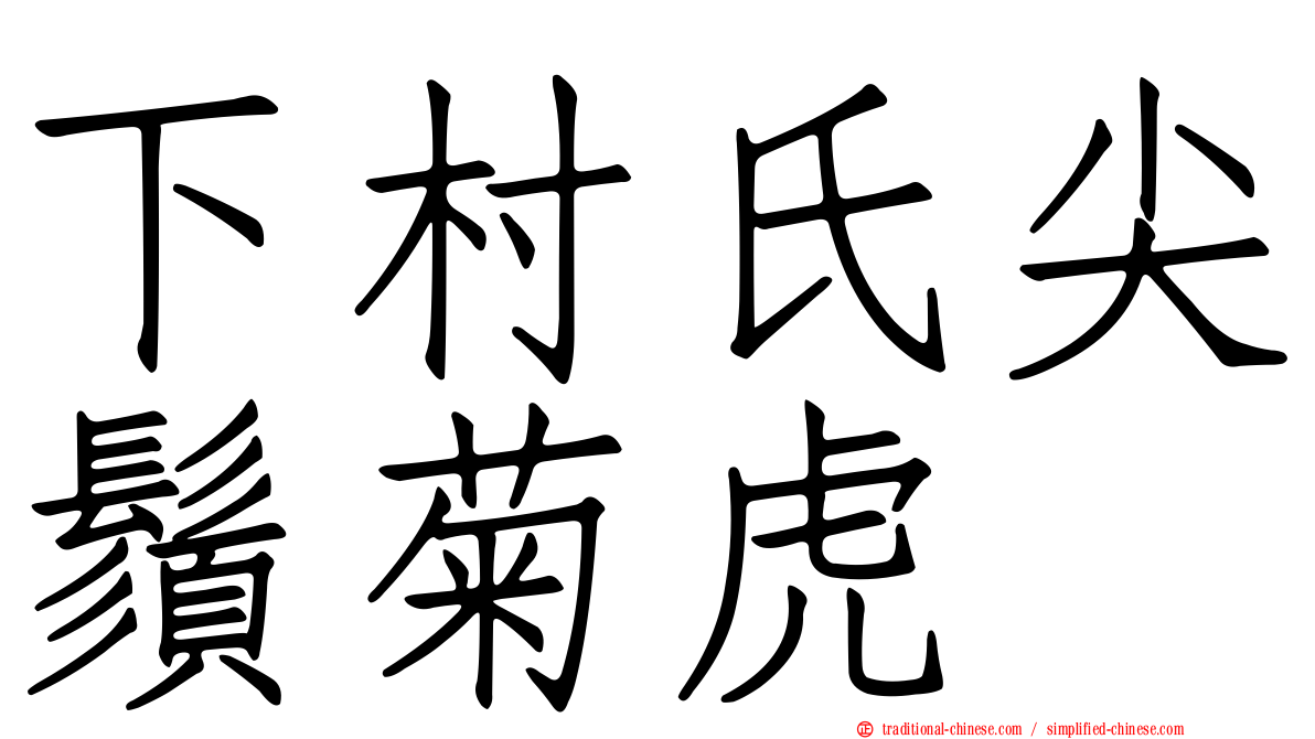 下村氏尖鬚菊虎
