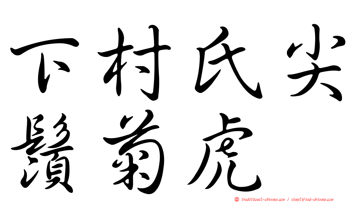 下村氏尖鬚菊虎