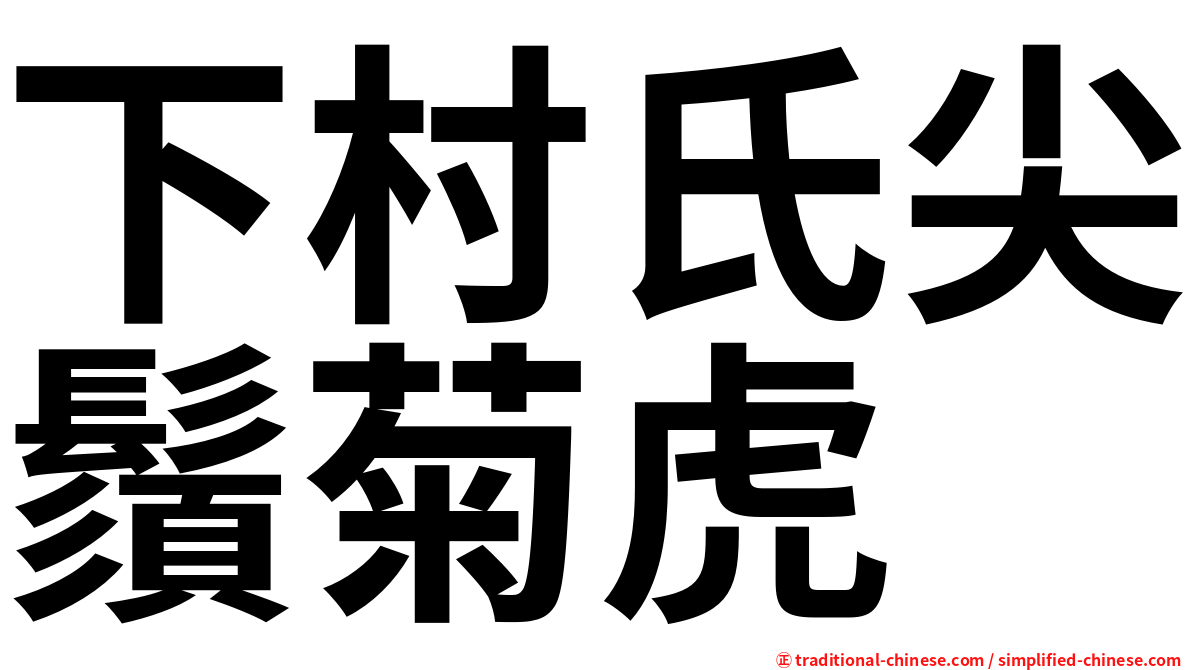 下村氏尖鬚菊虎