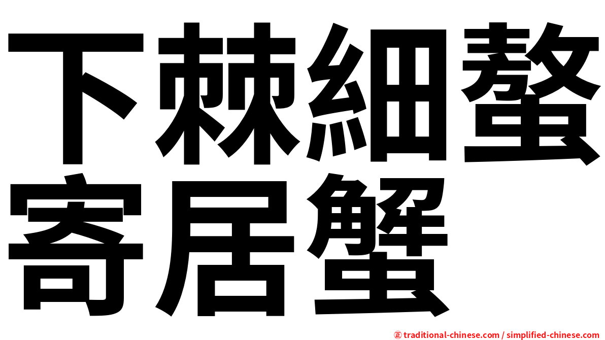 下棘細螯寄居蟹