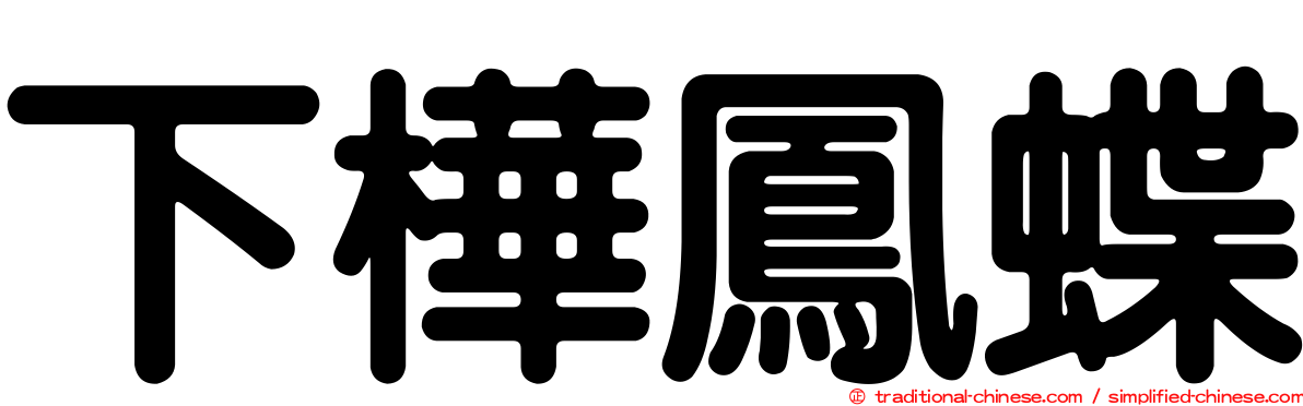 下樺鳳蝶