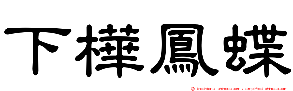 下樺鳳蝶