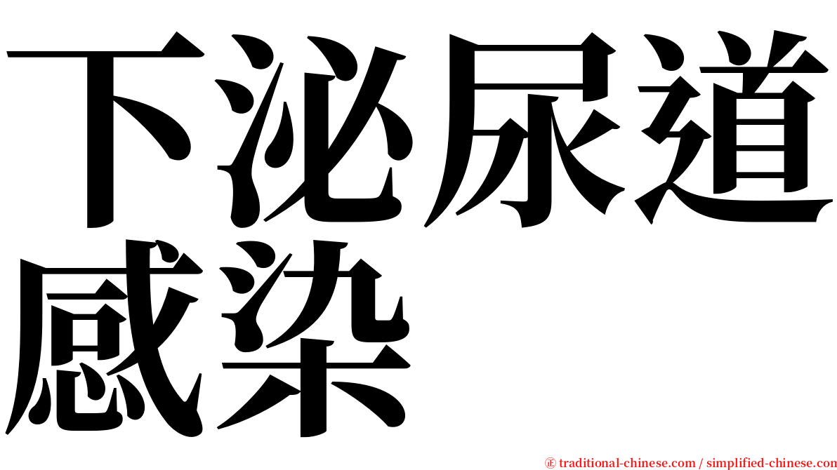 下泌尿道感染 serif font