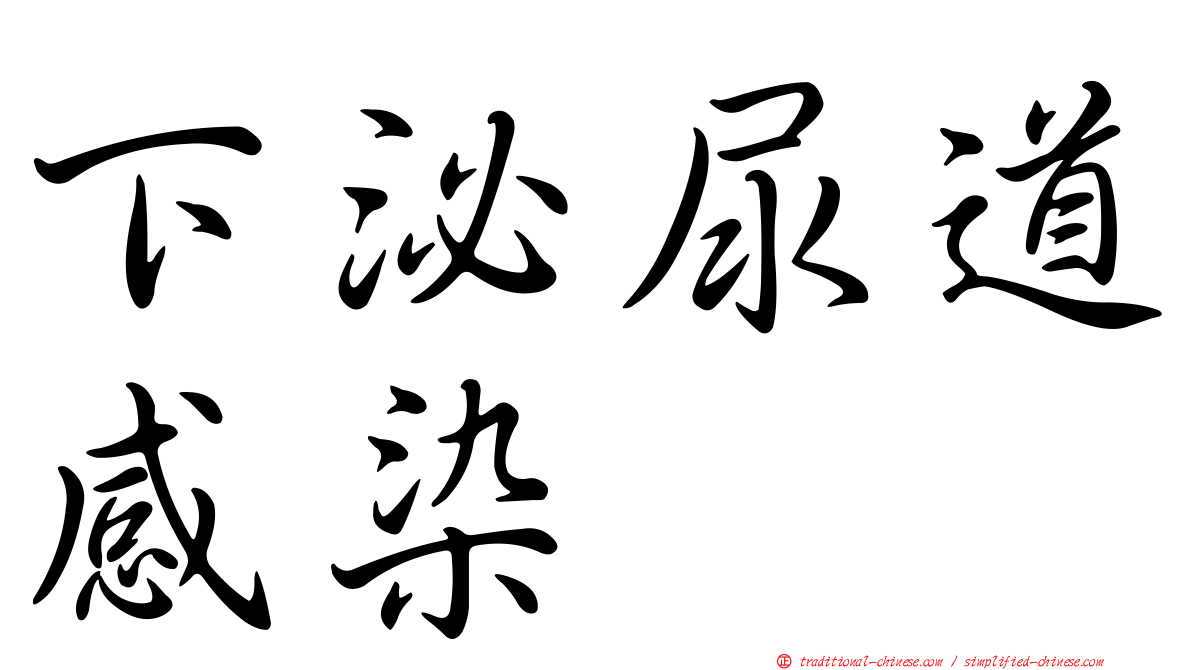 下泌尿道感染