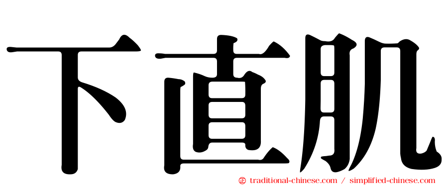 下直肌