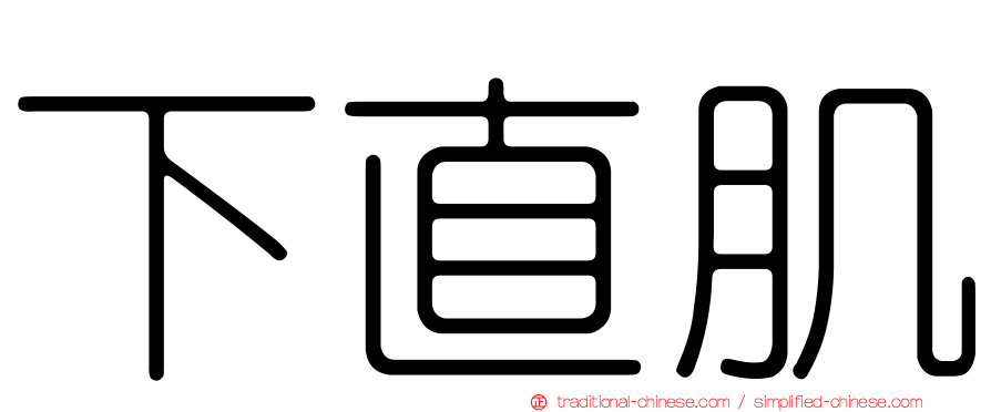 下直肌