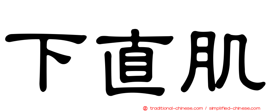 下直肌