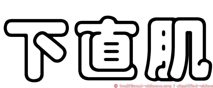 下直肌