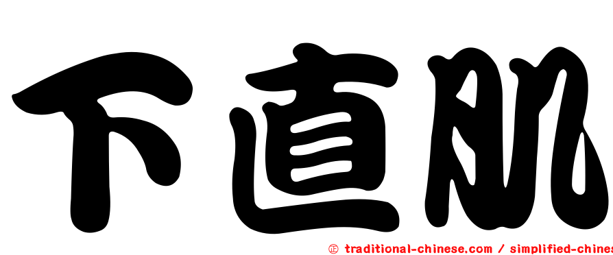 下直肌
