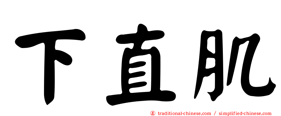 下直肌