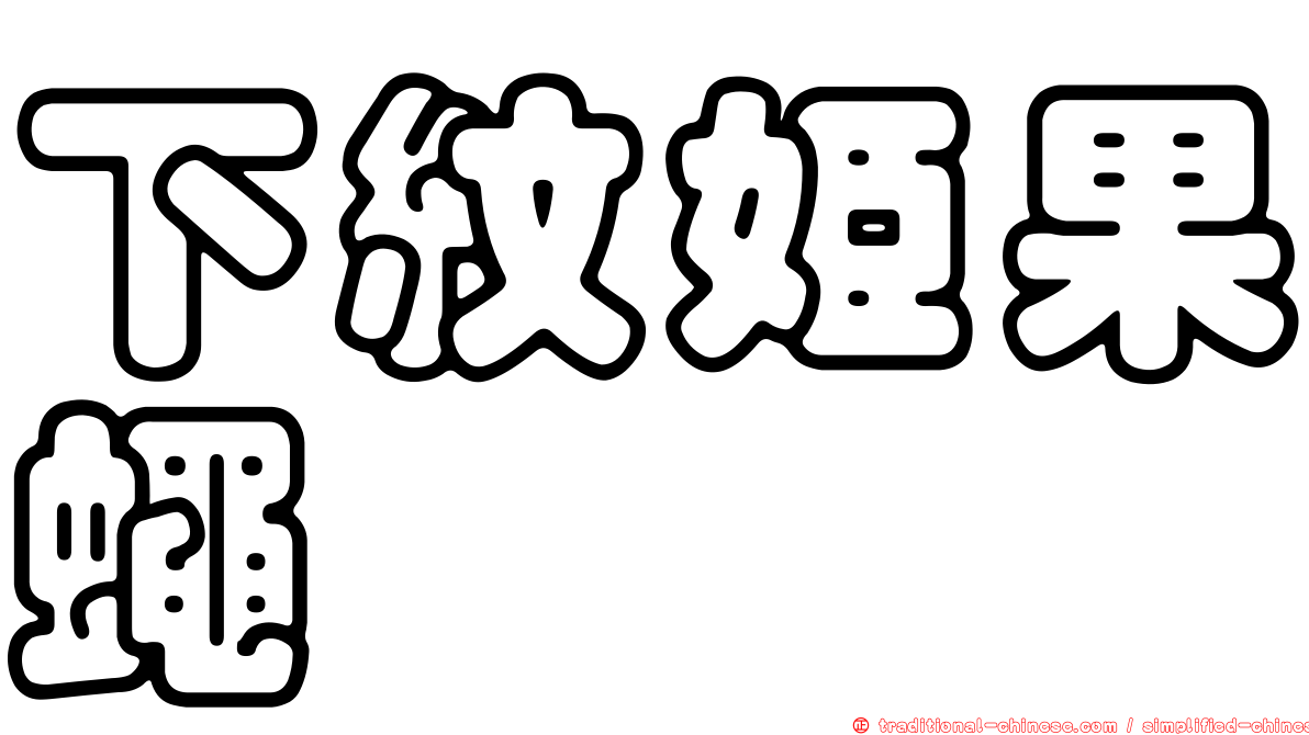 下紋姬果蠅