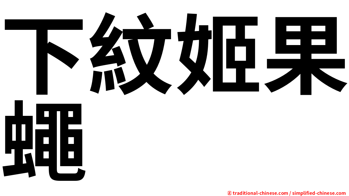 下紋姬果蠅
