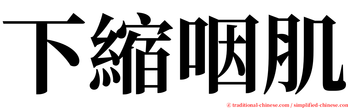 下縮咽肌 serif font