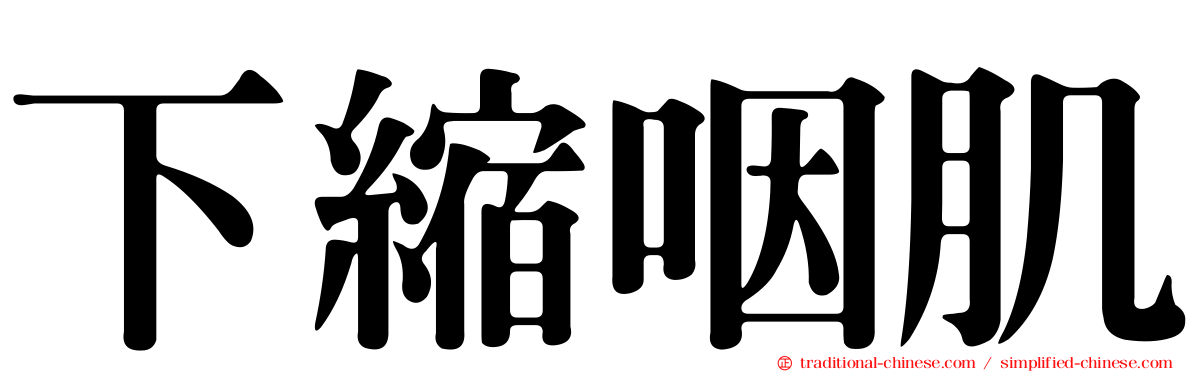 下縮咽肌