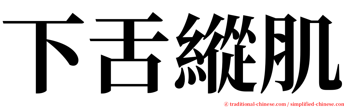 下舌縱肌 serif font