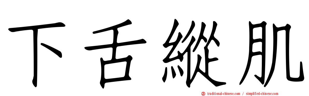 下舌縱肌