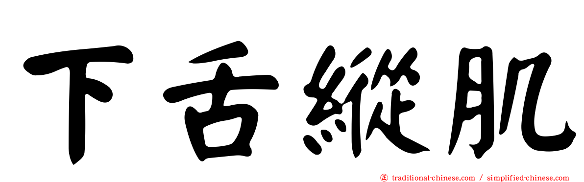 下舌縱肌