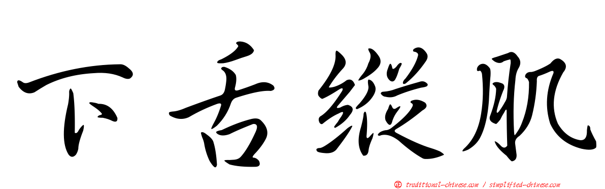 下舌縱肌