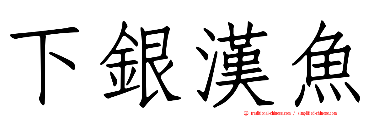 下銀漢魚