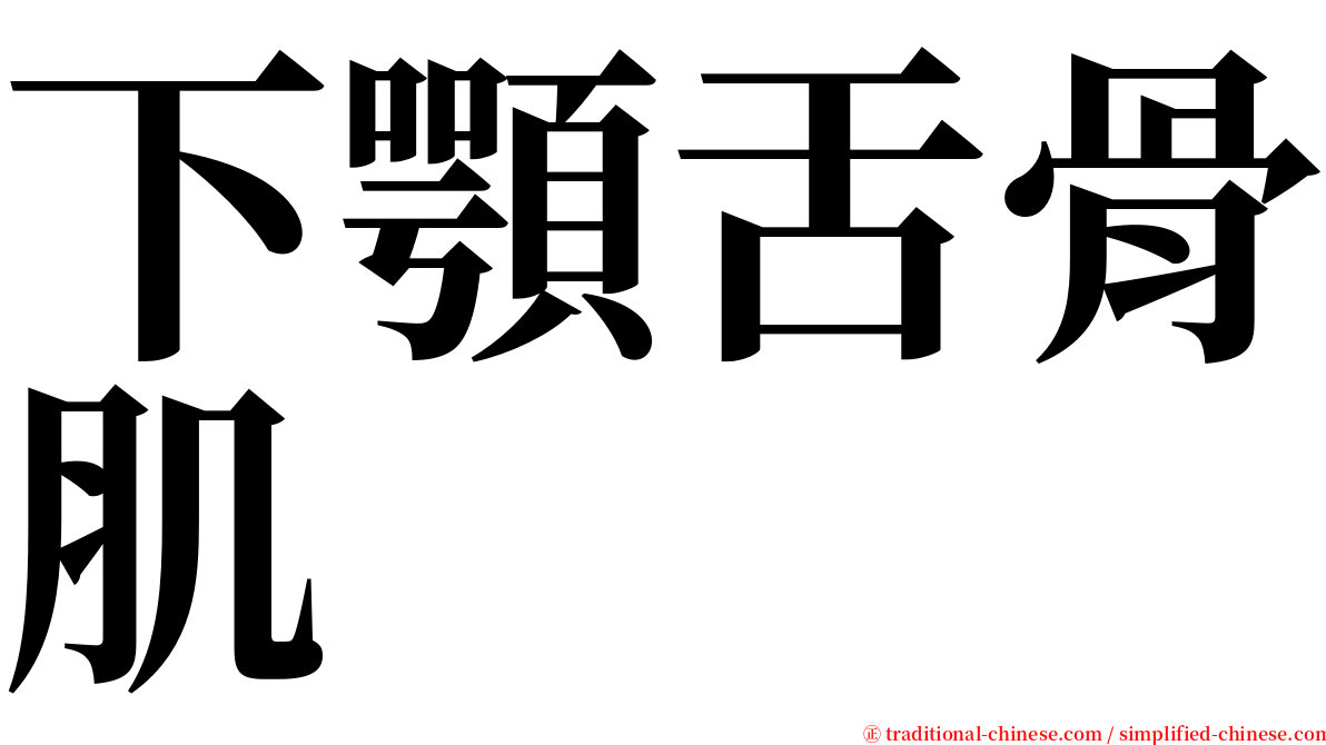 下顎舌骨肌 serif font