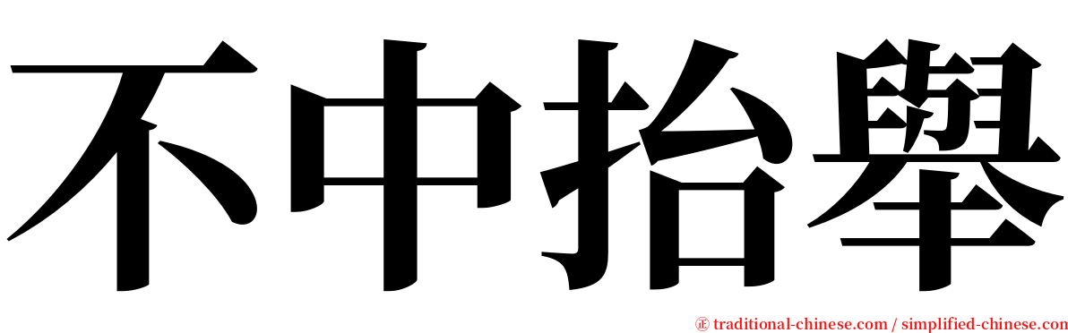 不中抬舉 serif font