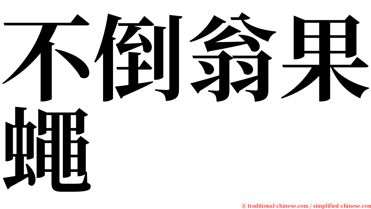 不倒翁果蠅 serif font