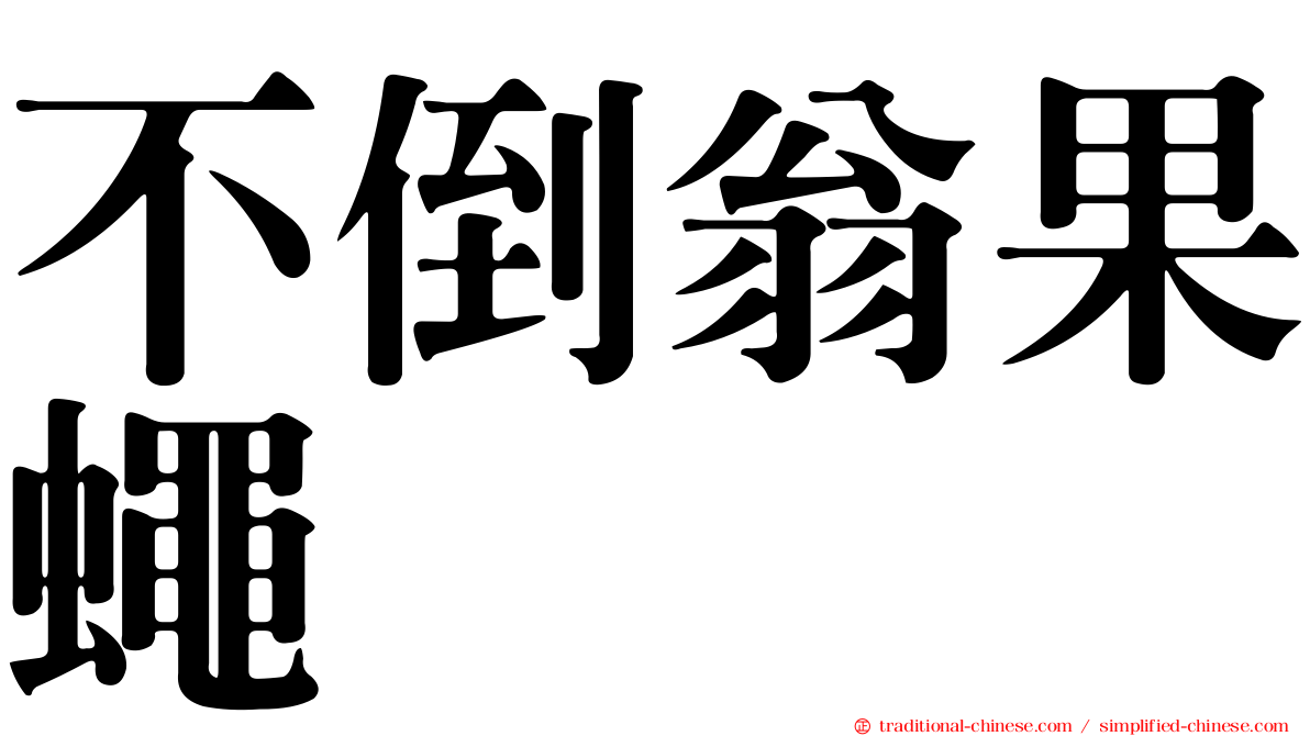 不倒翁果蠅
