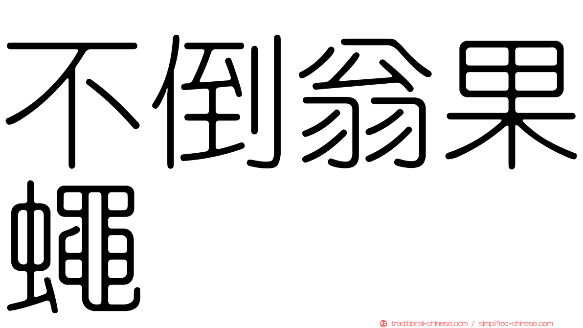 不倒翁果蠅
