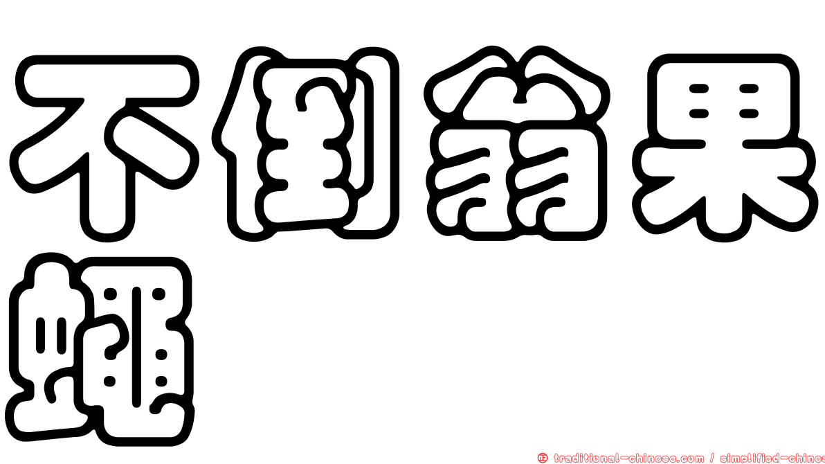 不倒翁果蠅