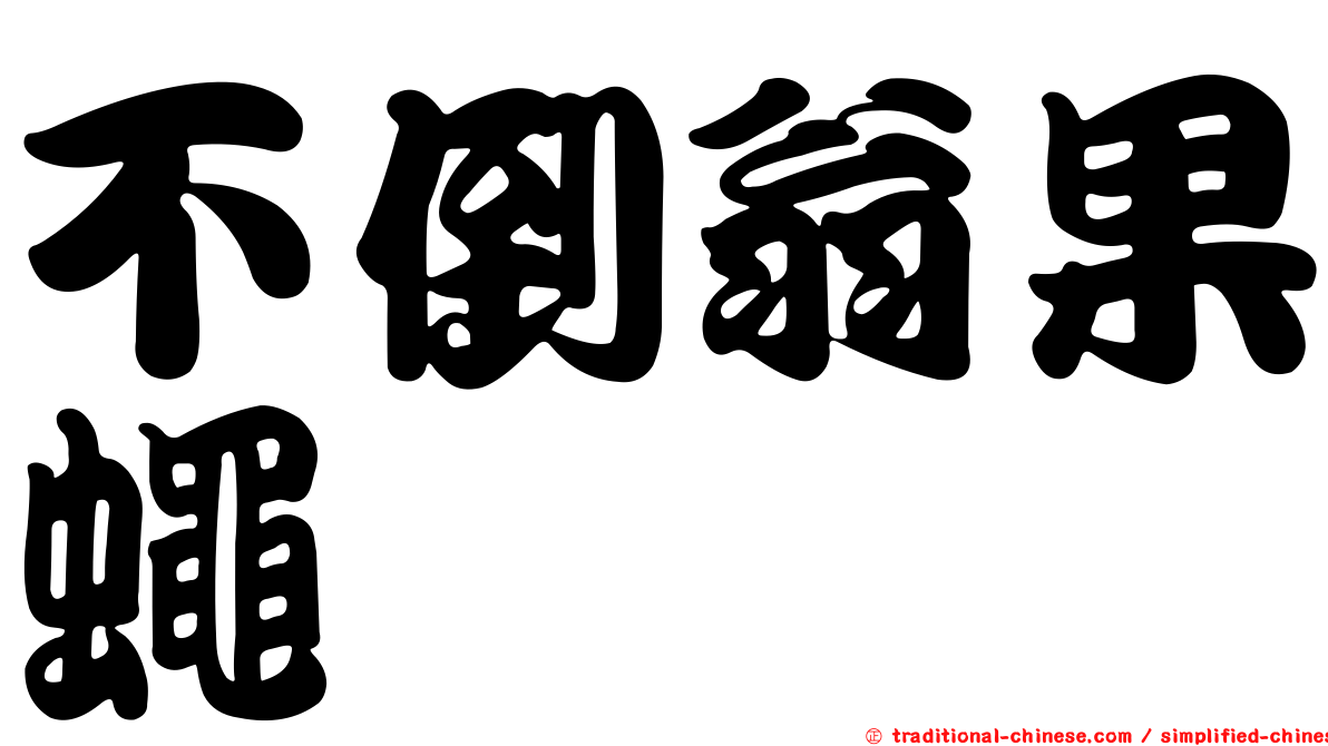 不倒翁果蠅