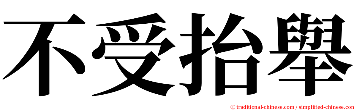 不受抬舉 serif font