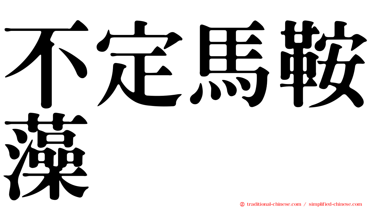 不定馬鞍藻