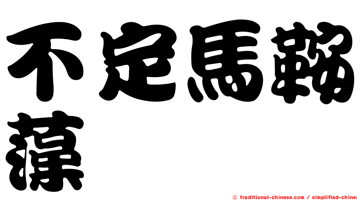 不定馬鞍藻