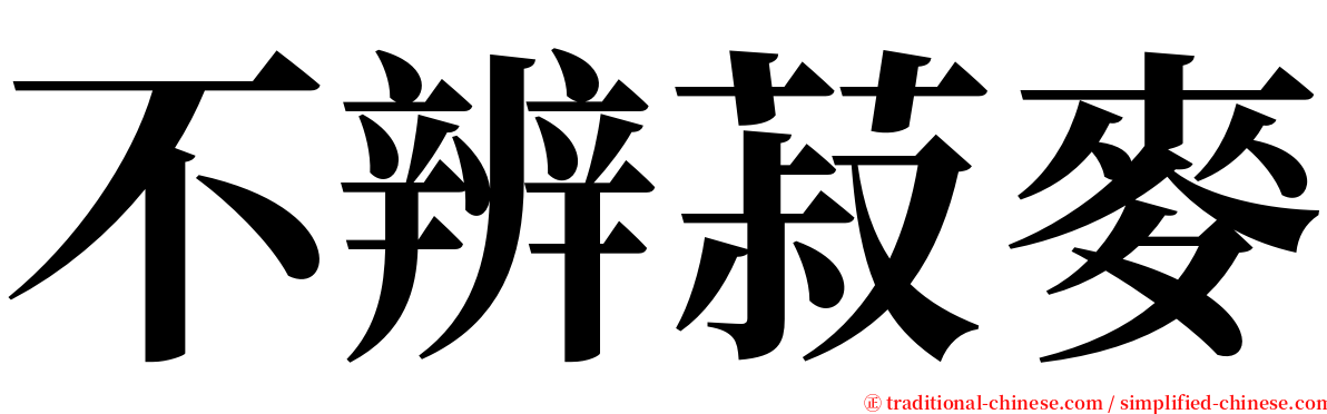 不辨菽麥 serif font