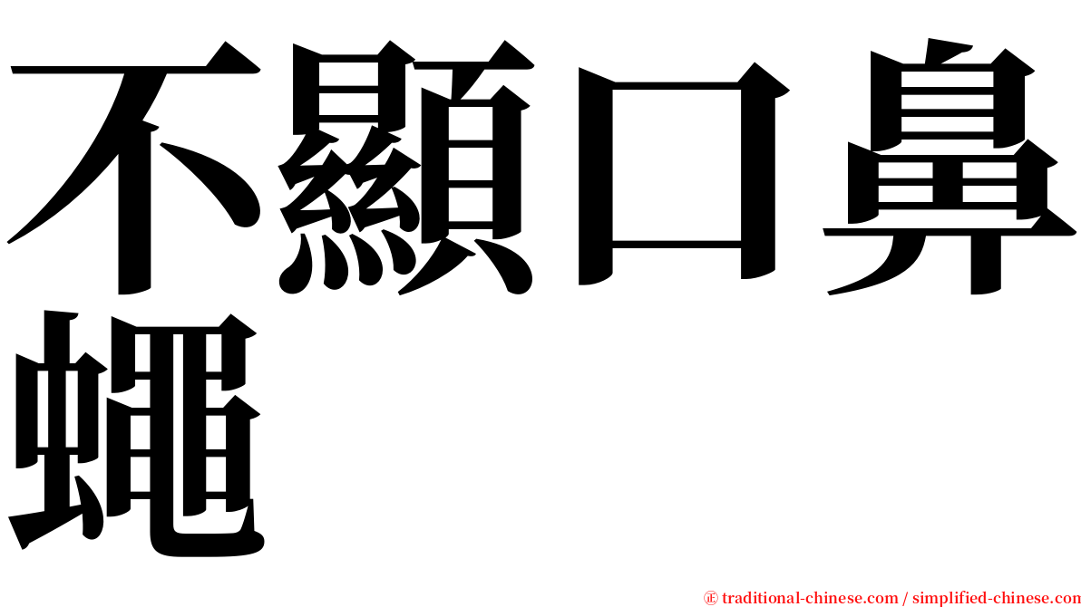 不顯口鼻蠅 serif font