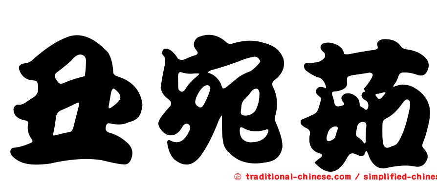 丑宛茹