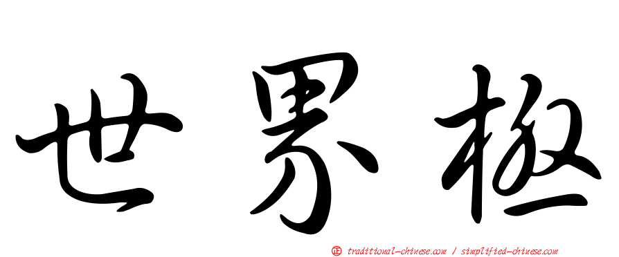 世界極