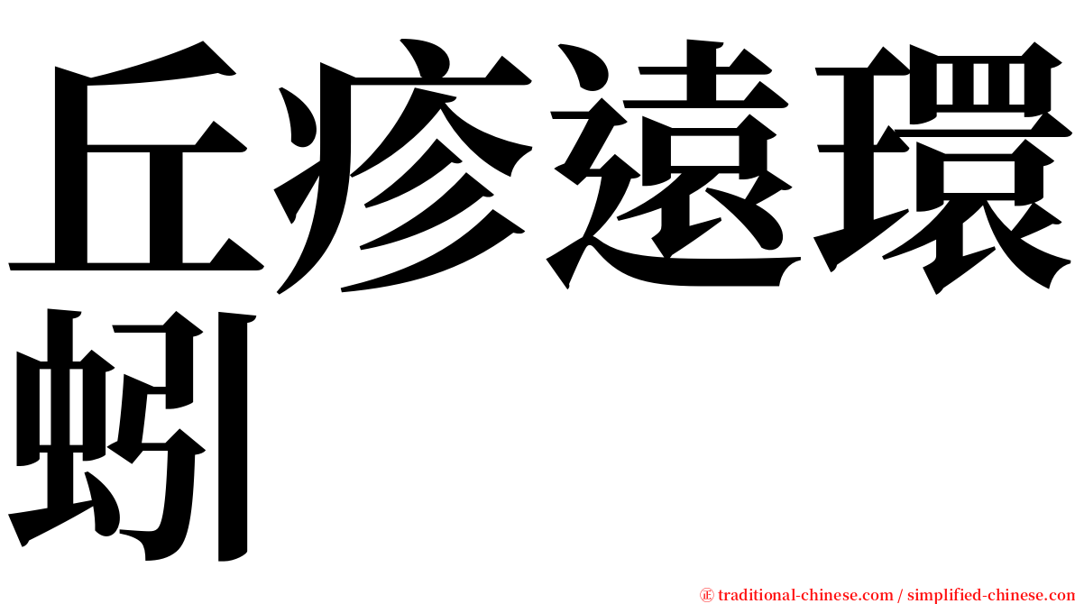 丘疹遠環蚓 serif font