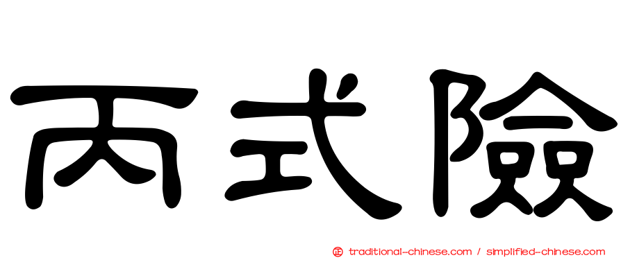 丙式險