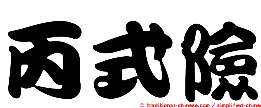 丙式險