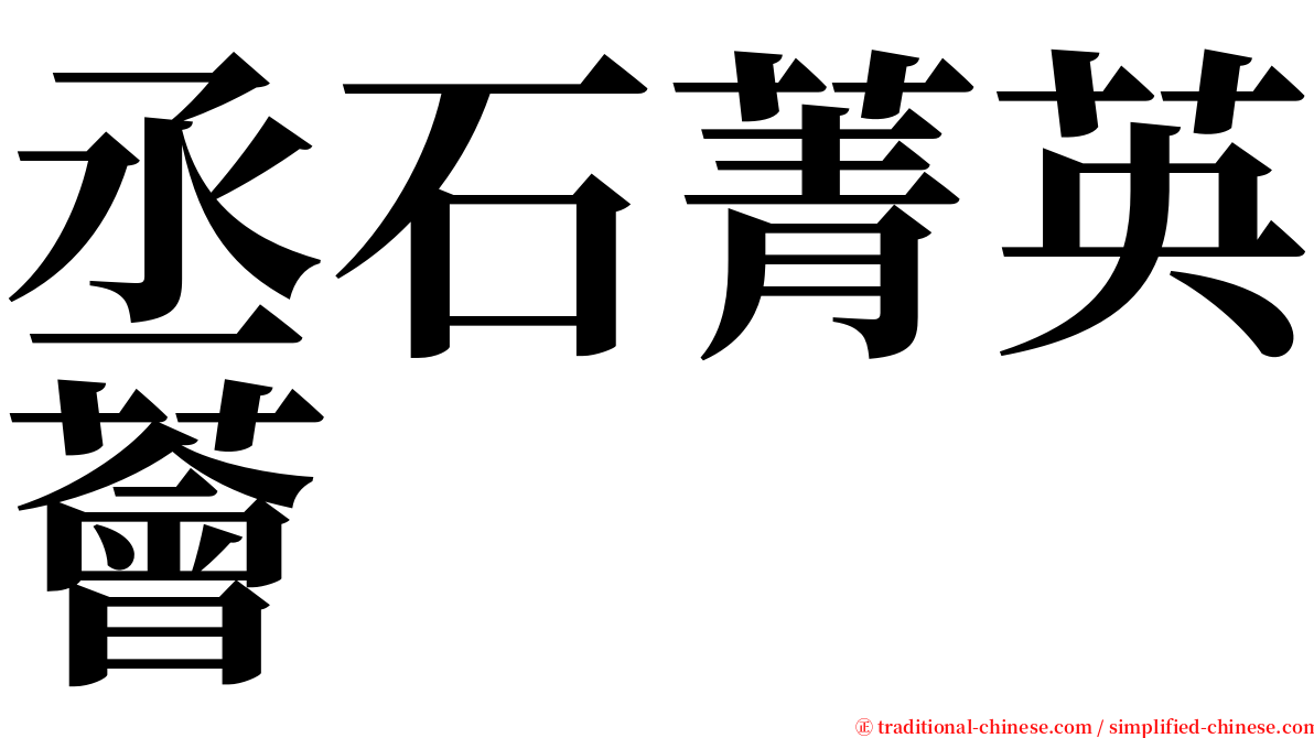 丞石菁英薈 serif font