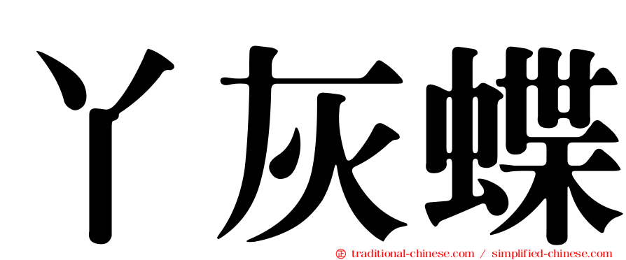 丫灰蝶