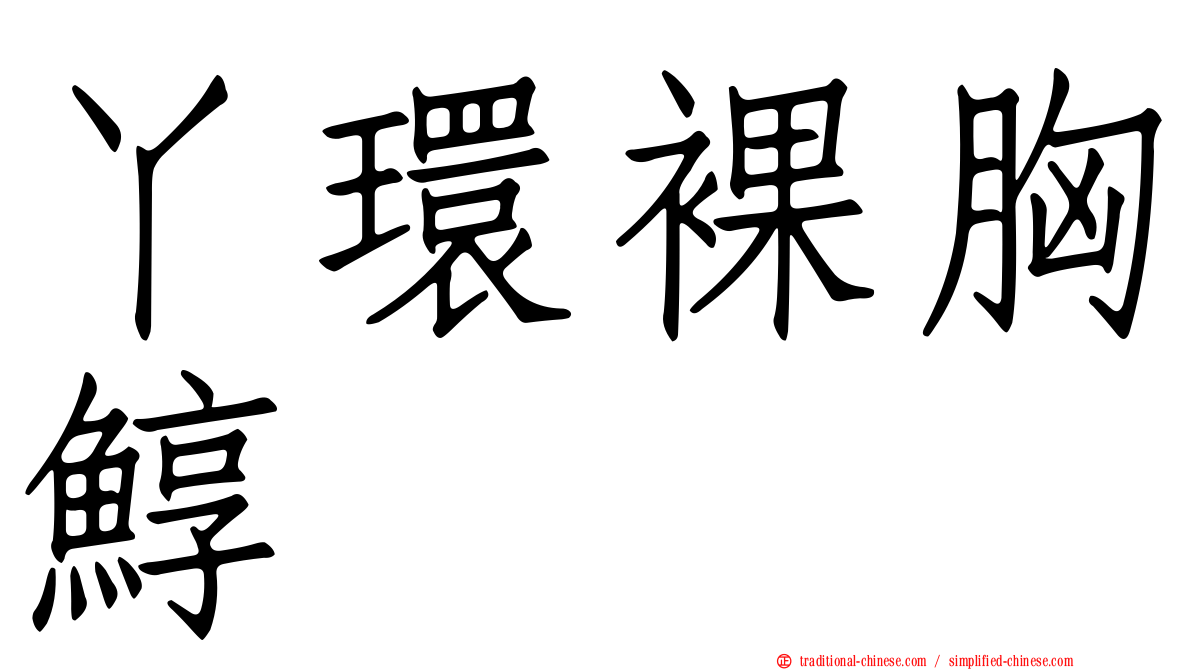 丫環裸胸鯙