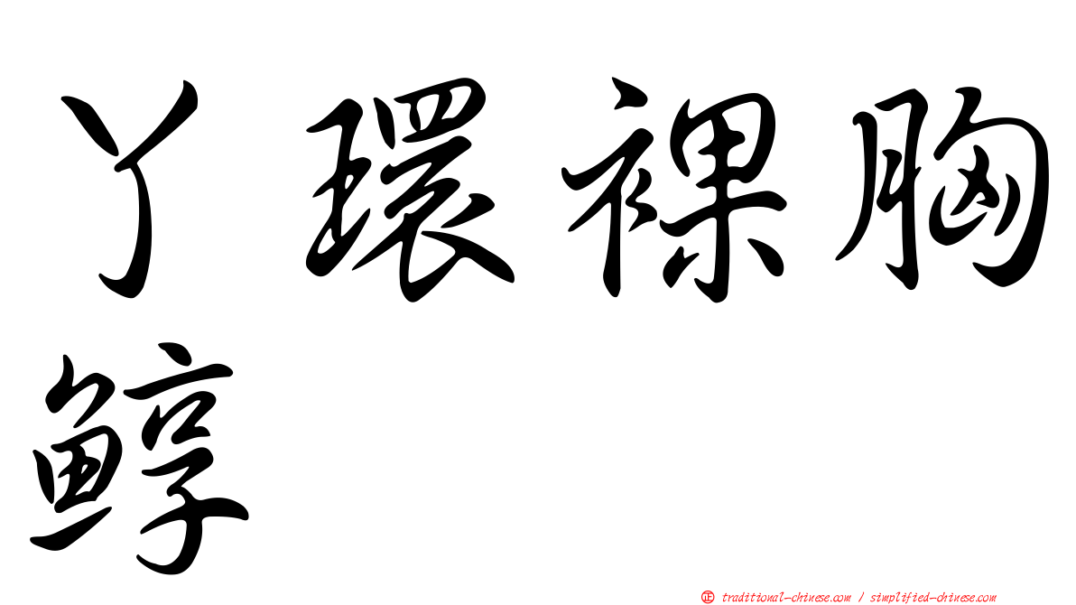 丫環裸胸鯙